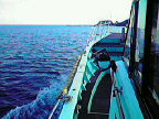 200912141315001.jpg