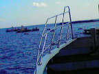 200912141316001.jpg