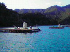 200912141319000.jpg