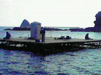 200912141318001.jpg
