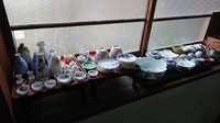DSC_6993.JPG