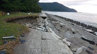 DSC_8562.JPG